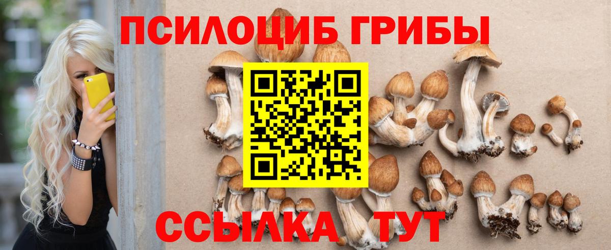 Псилоцибиновые грибы прущие грибы Сертолово